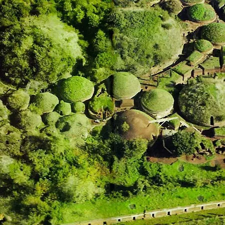 Gli Eucalipti Cerveteri