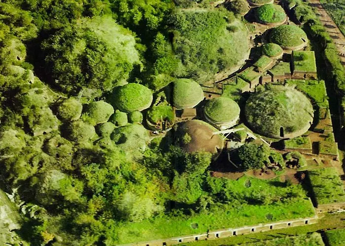 Gli Eucalipti Cerveteri