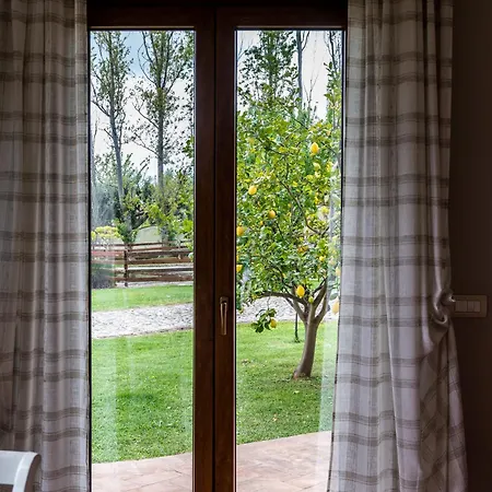 Gli Eucalipti * Cerveteri